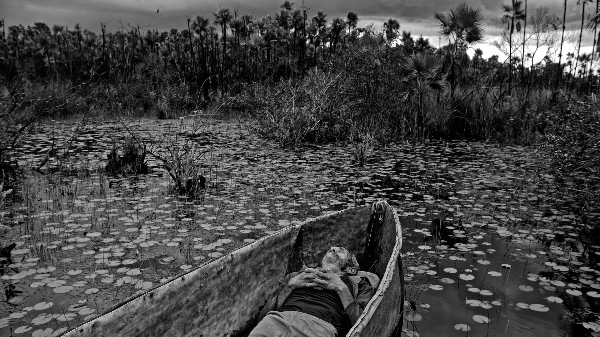 image from about thirty